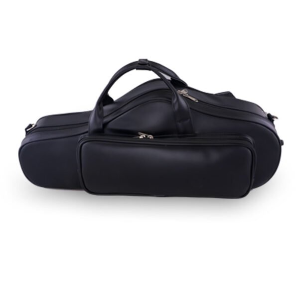 Saxophone Case