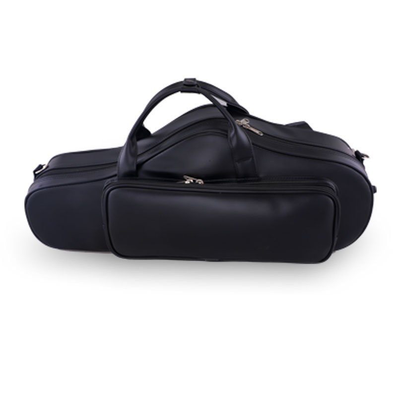 Saxophone Case